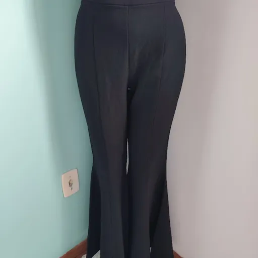 calça feminina pantalona