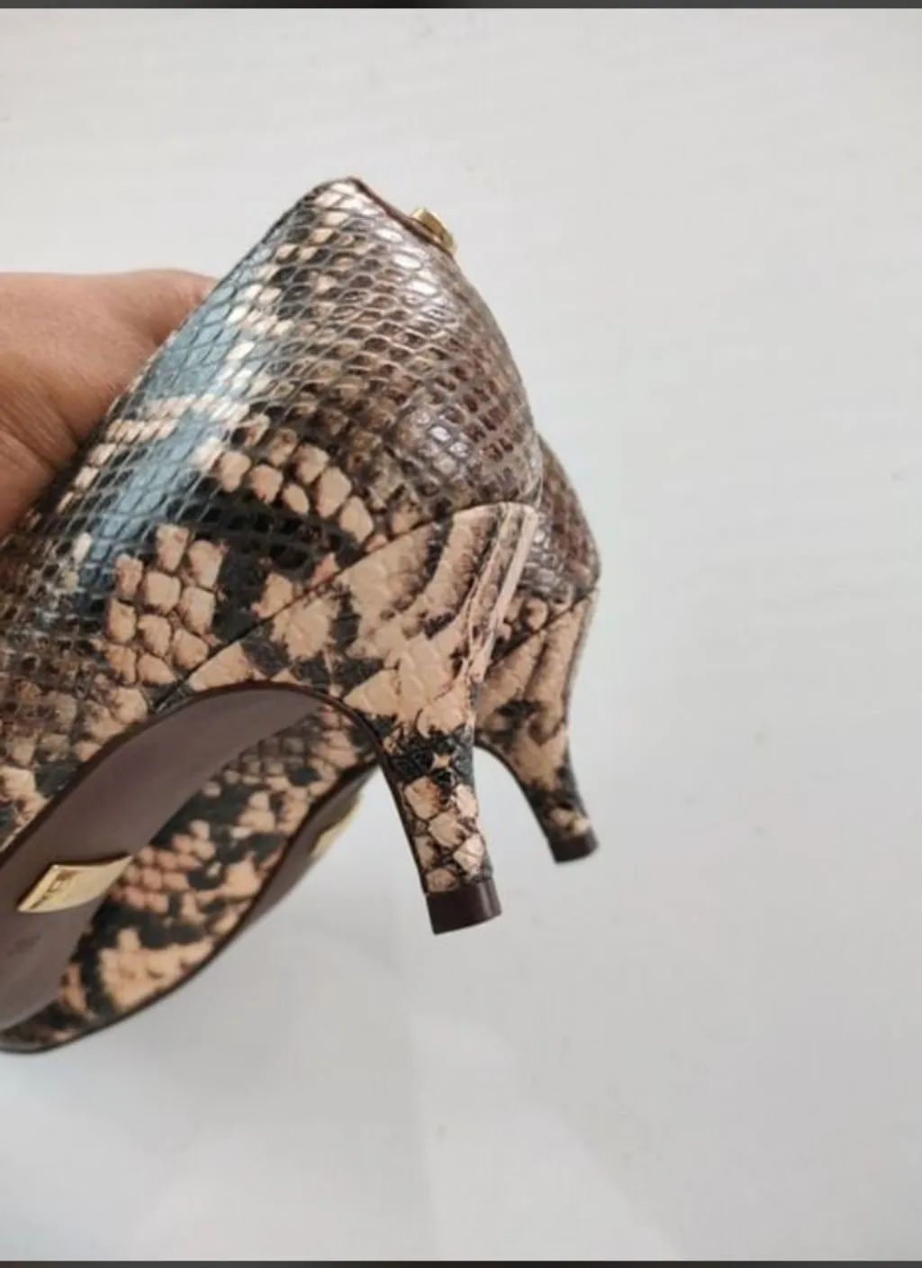 Scarpin Jorge Bischoff