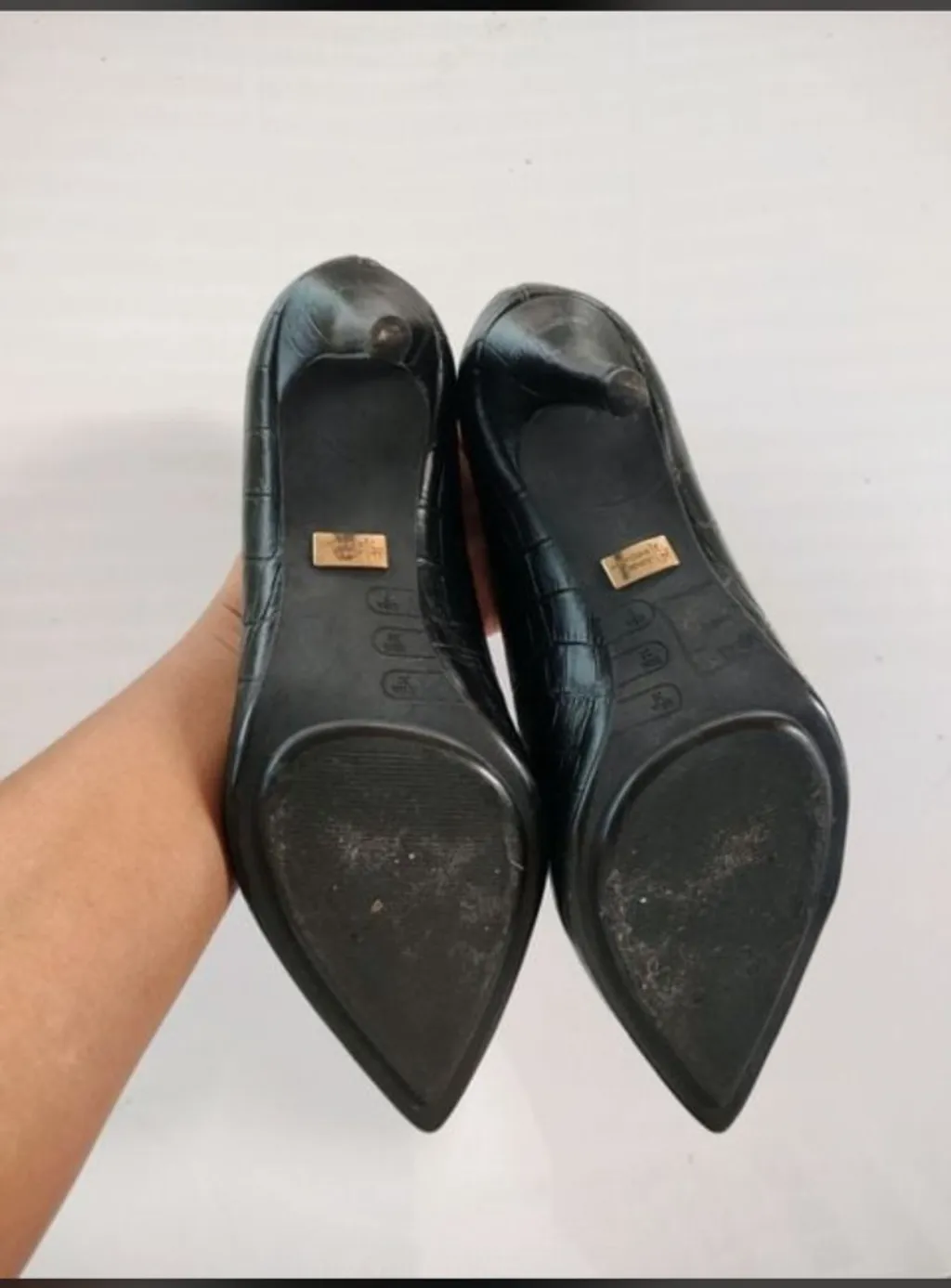 Scarpin Jorge Bischoff