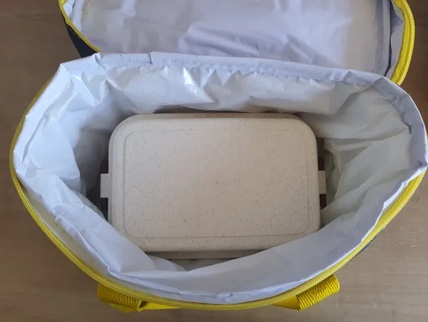kit sadia com bolsa térmica e sanduicheira daiso