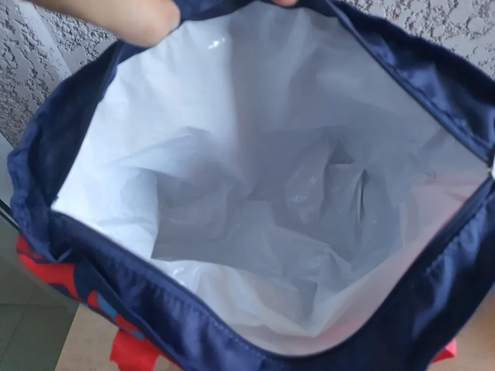 kit sadia com bolsa térmica e sanduicheira daiso