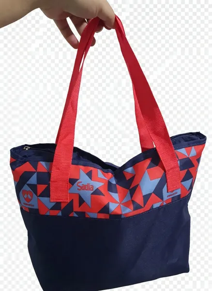 kit sadia com bolsa térmica e lancheira e sanduicheira daiso