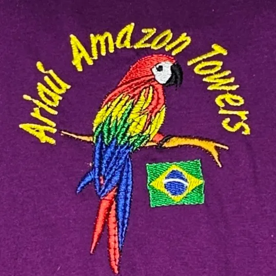 Camiseta Oversized Brasil Bordada Roxa GG