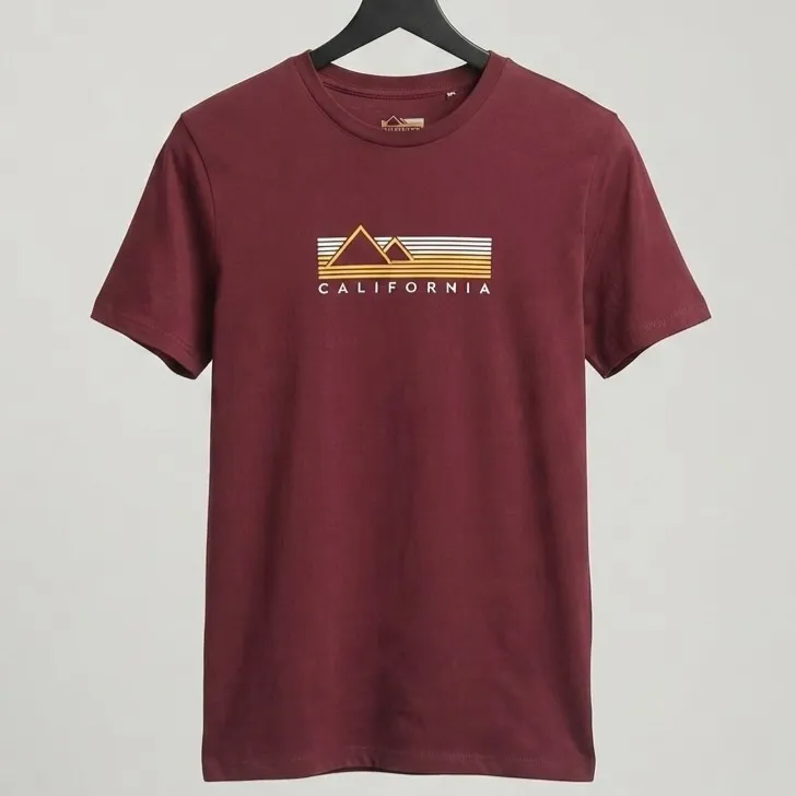 Camiseta Camp Sequoia California M Old Navy
