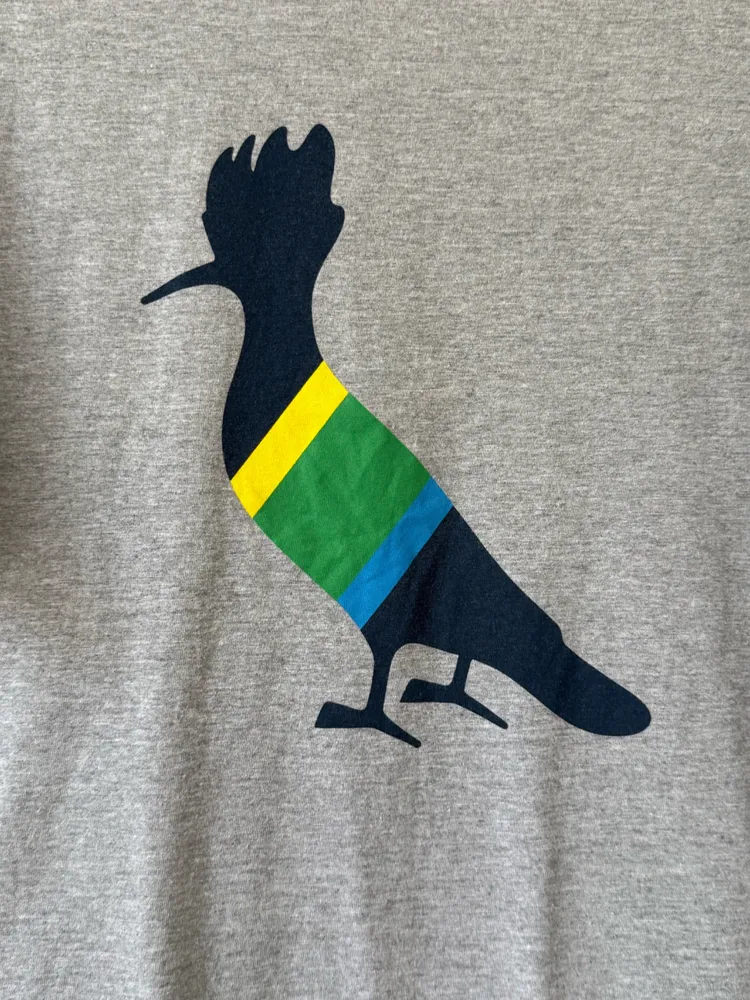 Camiseta reserva