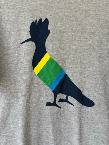 Camiseta reserva