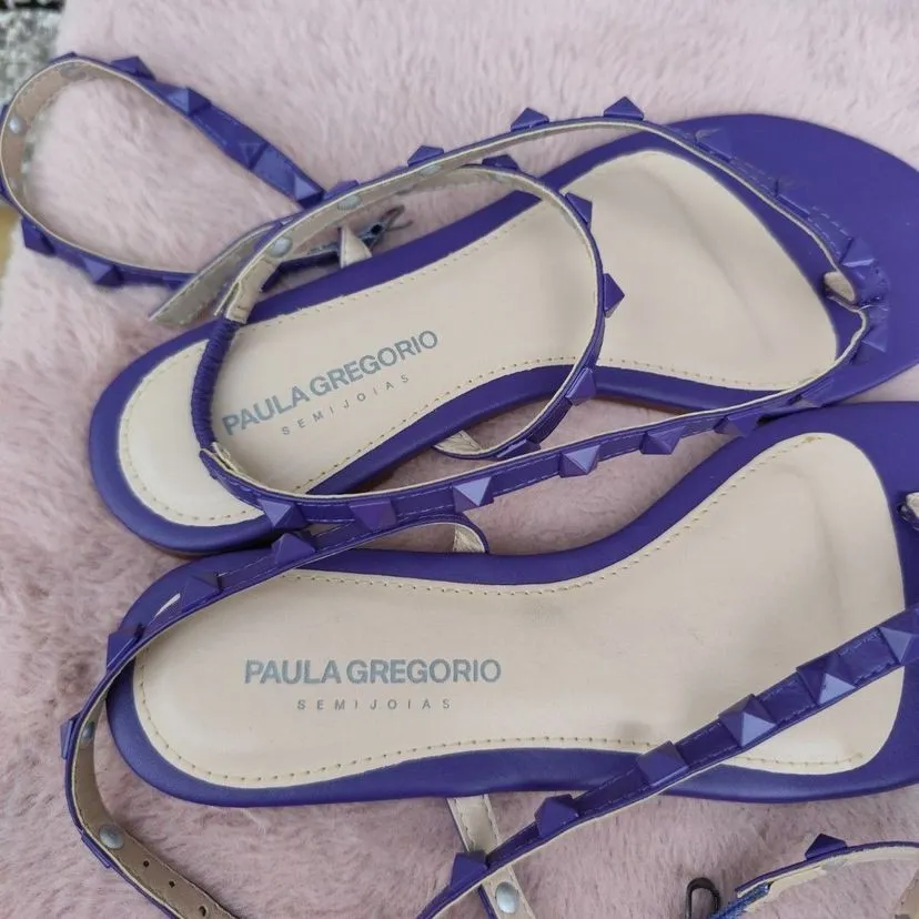 Rasteirinha Paula Gregorio roxa