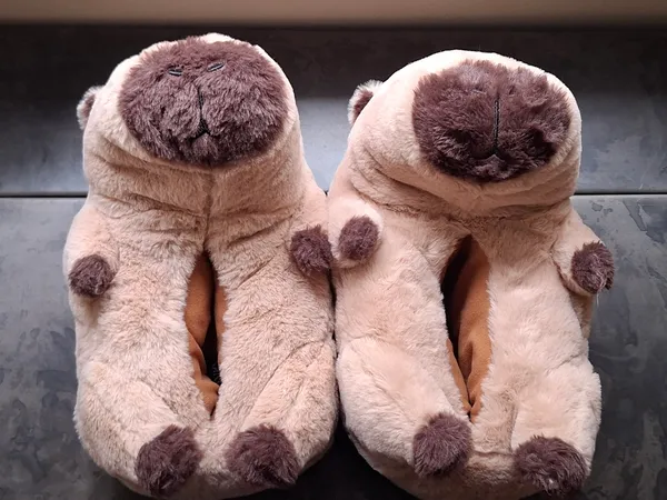 Pantufas de capivara Viko 41 42