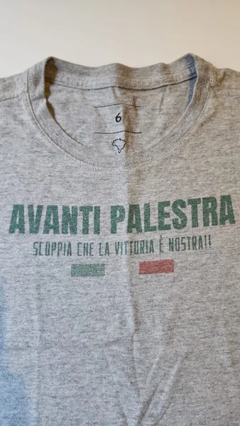 camiseta infantil arezzo palmeiras avanti palestra