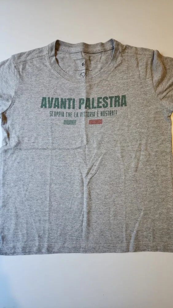 camiseta infantil arezzo palmeiras avanti palestra
