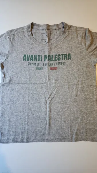 camiseta infantil arezzo palmeiras avanti palestra