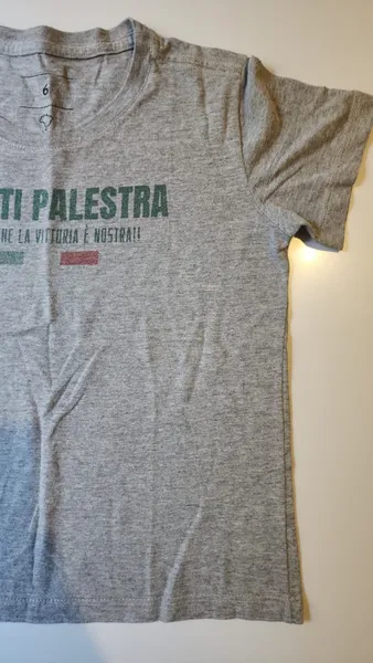 camiseta infantil arezzo palmeiras avanti palestra