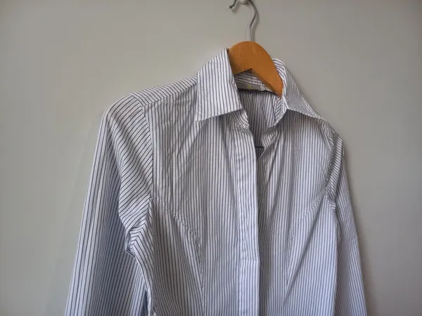 chemise curta risca de giz animale