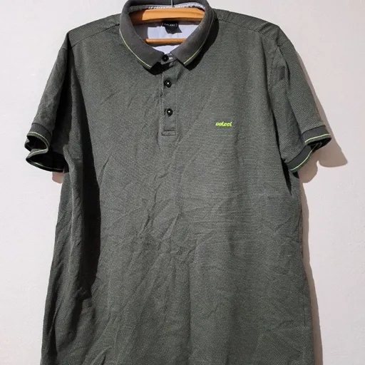 camiseta polo colcci