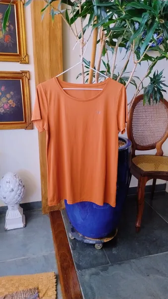 Camiseta Fitness Ferrugem da Live