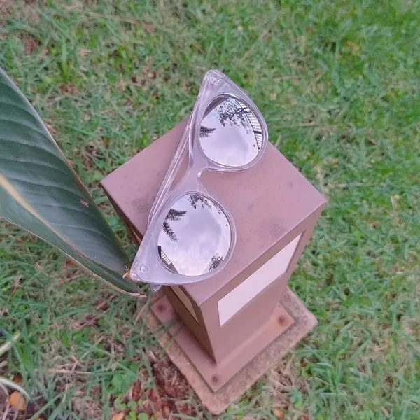 Óculos de Sol Doshow Transparente Gatinho da Helena Bordon