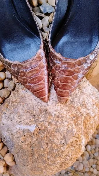 Scarpin Anzetutto Marrom Couro Phyton Legítimo
