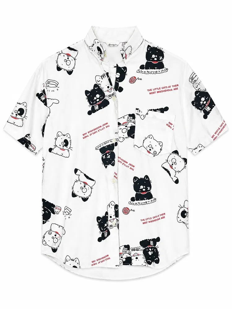 camisa fem gatinhos