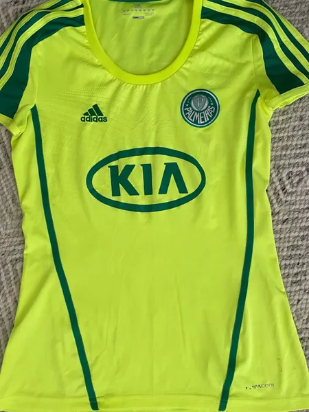 camisa palmeiras feminina