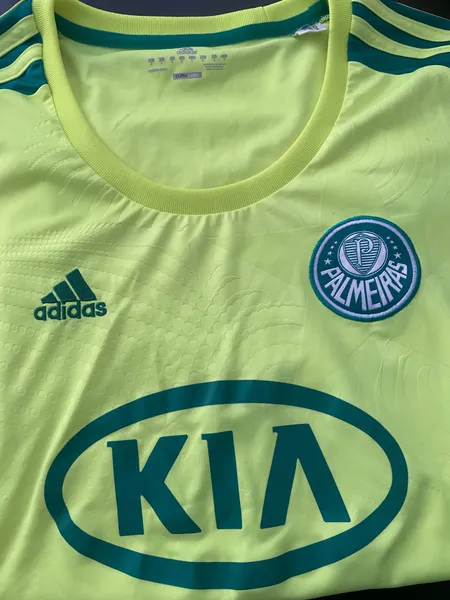 camisa palmeiras feminina