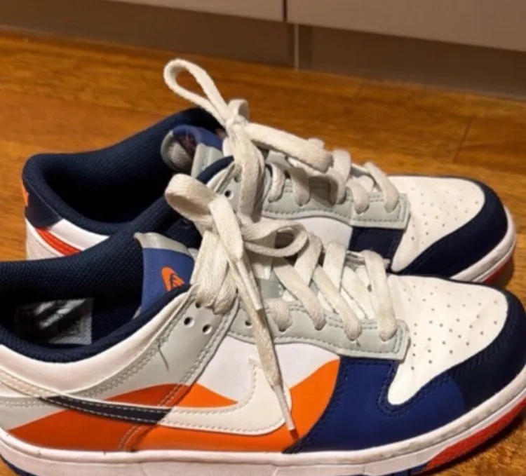 tenis nike dunk