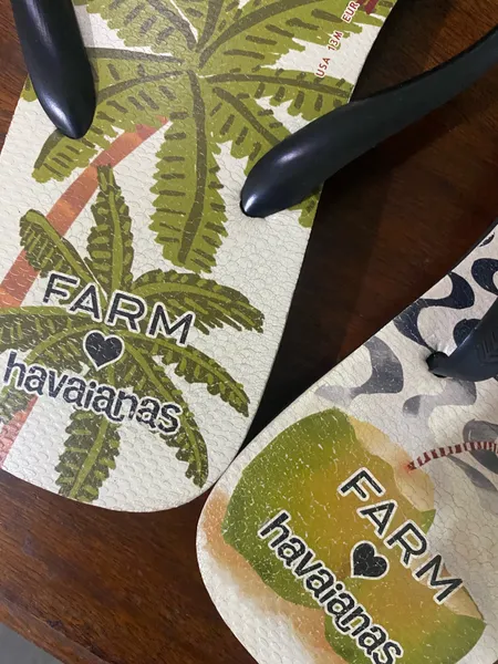 chinelo masculino farm rio