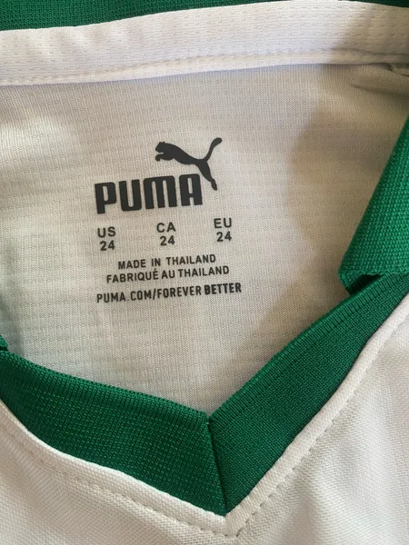 camiseta infantil puma palmeiras original