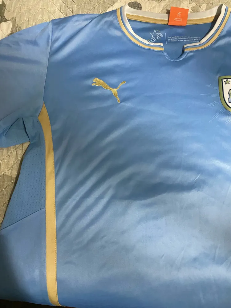 camisa uruguai puma