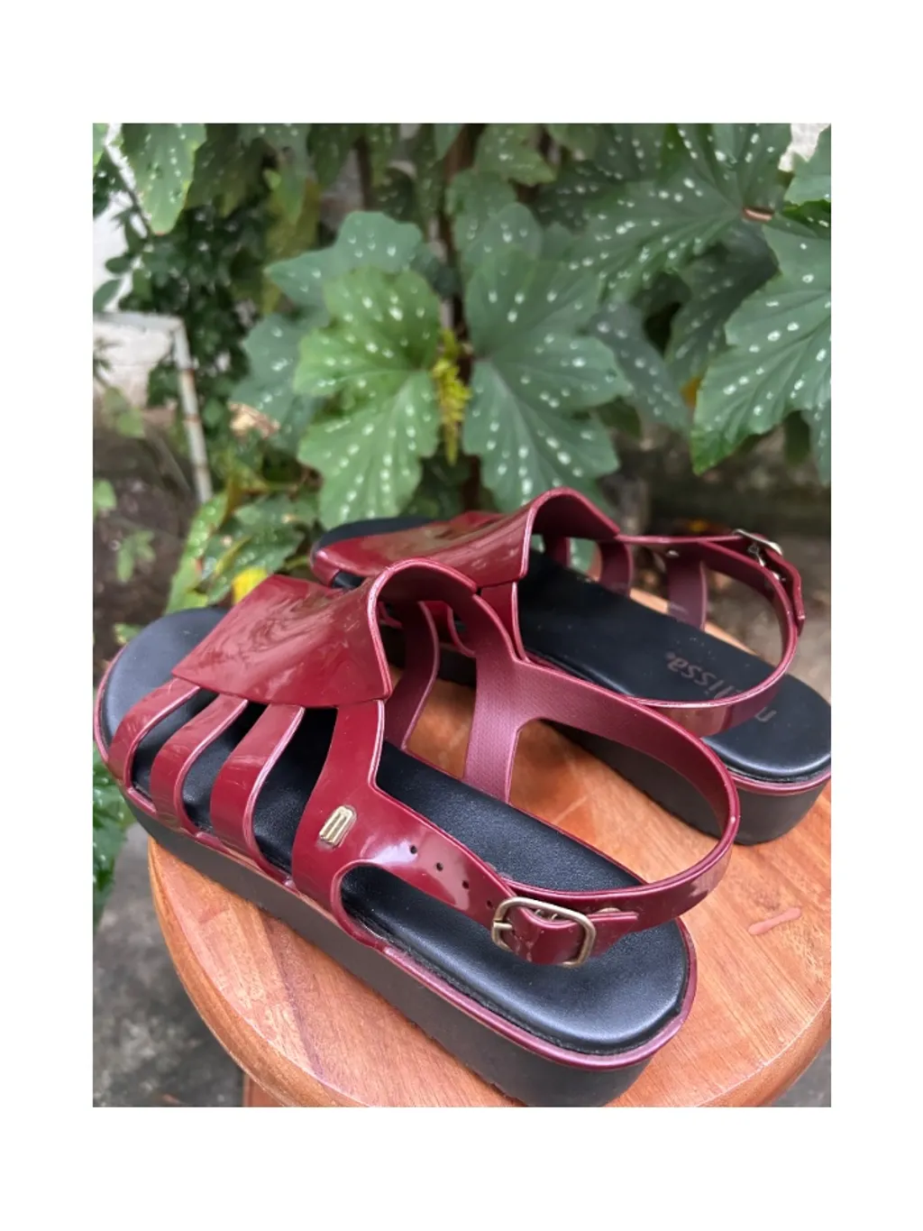 Sandália Melissa Flox High Plataforma Bordô