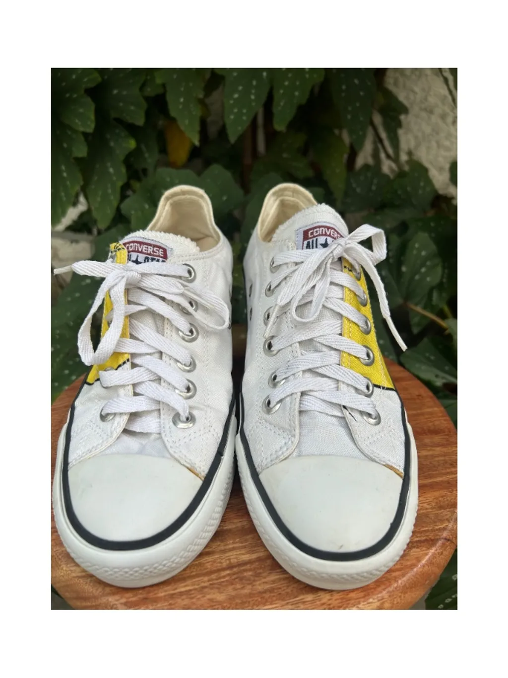 Tênis All Star Piu Piu - edição especial Looney Tunes - tam 36