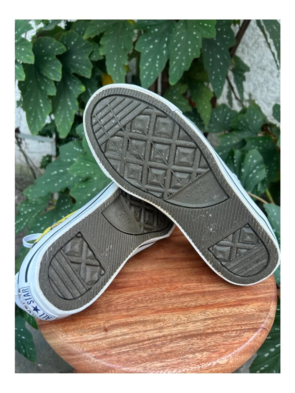 Tênis All Star Piu Piu - edição especial Looney Tunes - tam 36