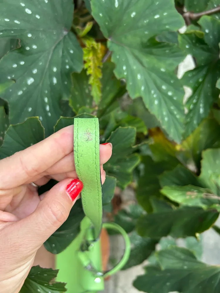 Bolsa Coccinelle de couro legítimo verde