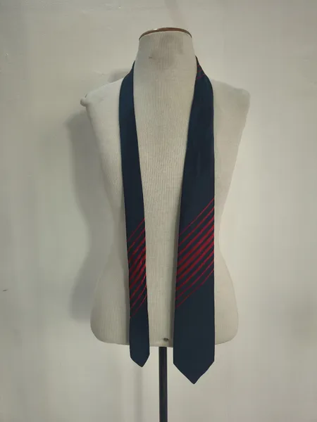 Gravata Christian Dior Monsieur