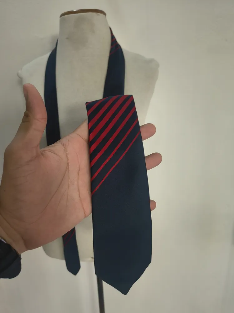 Gravata Christian Dior Monsieur