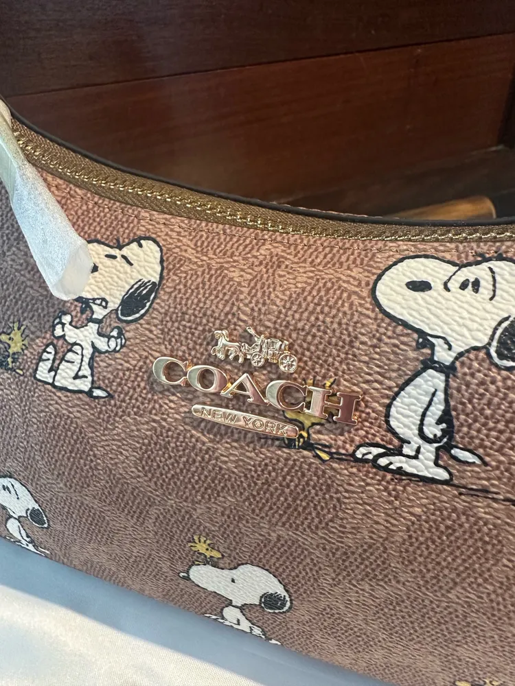 Bolsa Coach