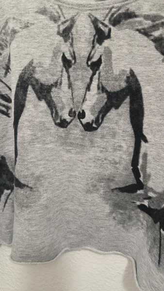 blusa manga longa Farm