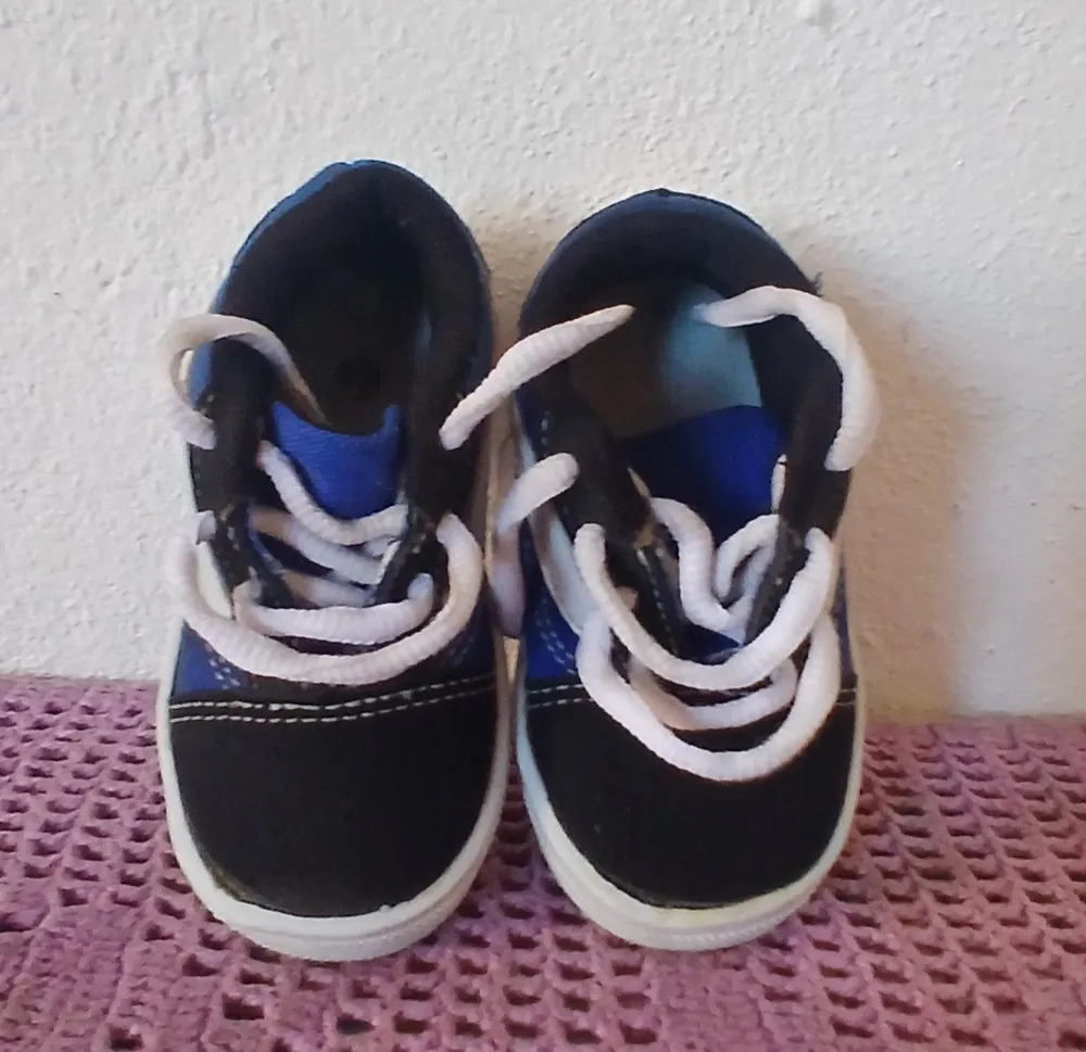 Tipo Vans