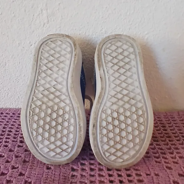 Tipo Vans