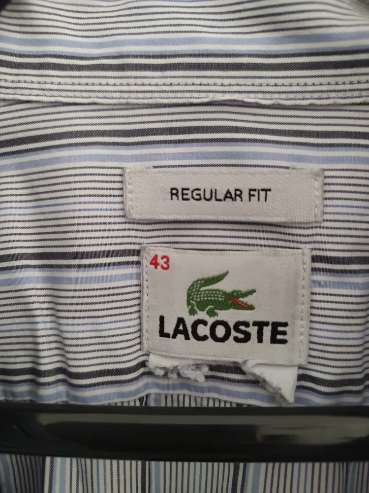 Camisa masculina Lacoste