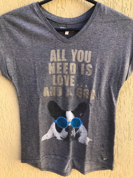 Camiseta Cinza Estampada Da Marca Le Lis Petit