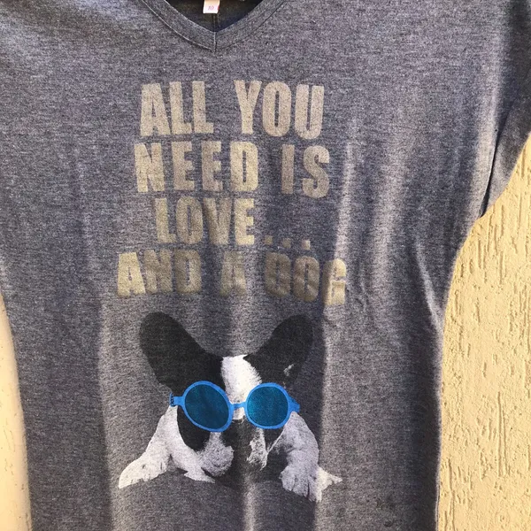 Camiseta Cinza Estampada Da Marca Le Lis Petit