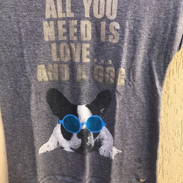 Camiseta Cinza Estampada Da Marca Le Lis Petit