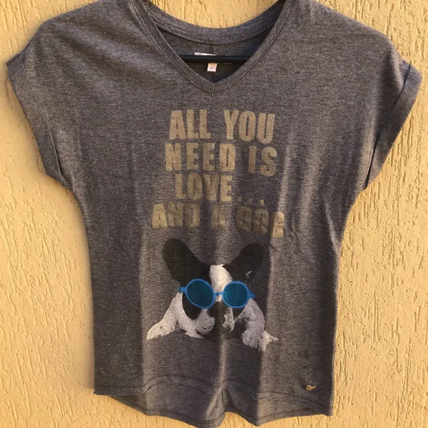Camiseta Cinza Estampada Da Marca Le Lis Petit