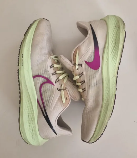 Tenis pegasus 39 nike 41 42
