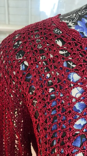 Blusa em crochê Vinho
