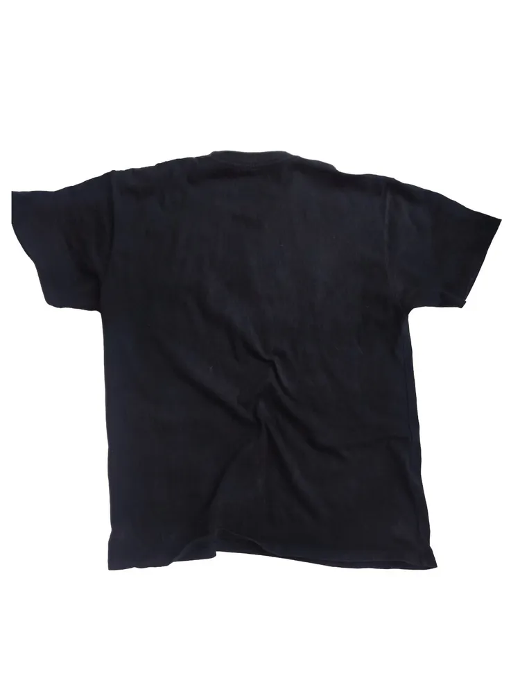 Camiseta Champion original