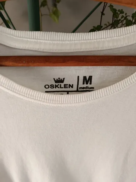 camiseta osklen branca m