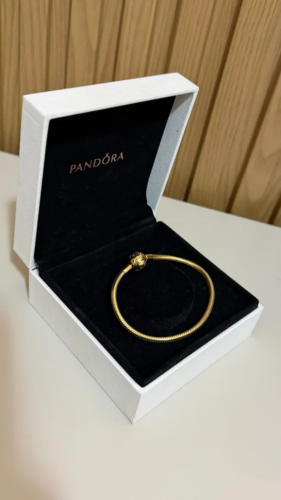 Pulseira Dourada Shine Pandora 17
