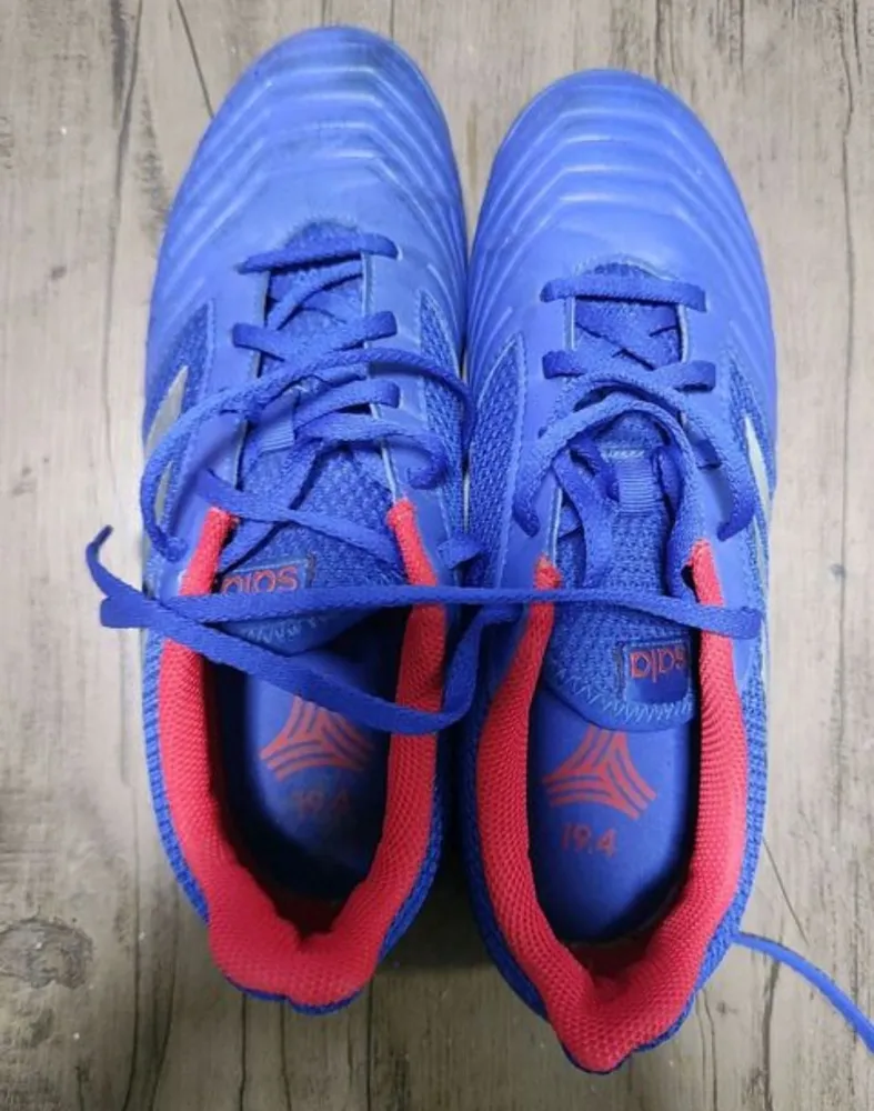 chuteira futsal adidas predator in sala