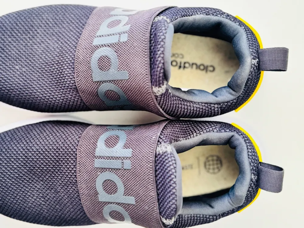 Tenis